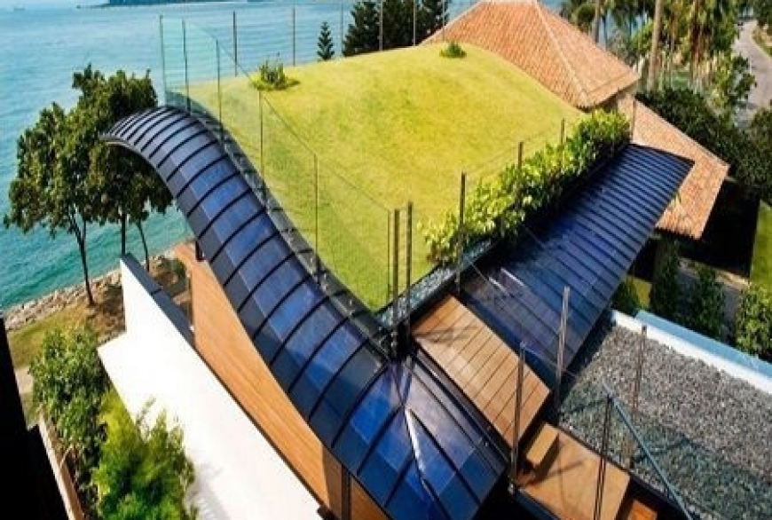 Mái nhà của bạn có thể trồng được 100 cây xanh